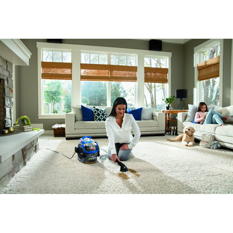 Bissell Little Green Pet Pro Portable Carpet Cleaner & Reviews Wayfair